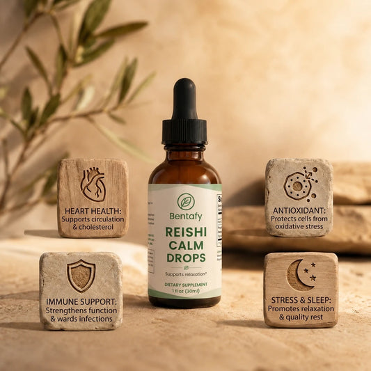 Reishi Alcohol-Free Extract